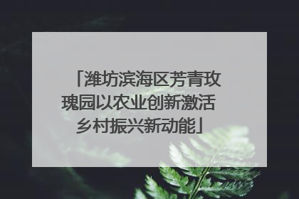 潍坊滨海区芳青玫瑰园以农业创新激活乡村振兴新动能