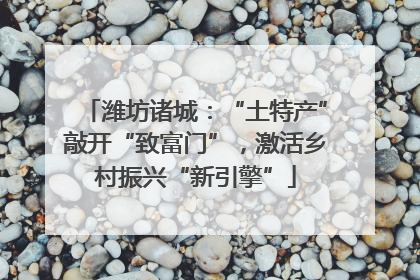 潍坊诸城：“土特产”敲开“致富门”，激活乡村振兴“新引擎”