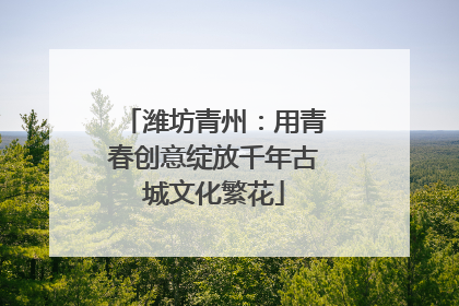 潍坊青州：用青春创意绽放千年古城文化繁花