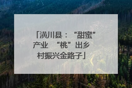 潢川县：“甜蜜”产业  “桃”出乡村振兴金路子
