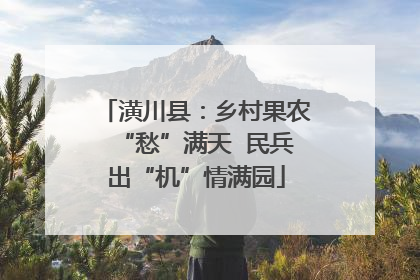 潢川县：乡村果农“愁”满天  民兵出“机”情满园