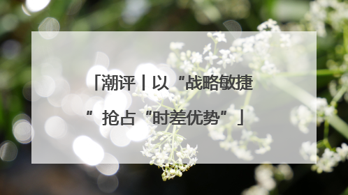 潮评丨以“战略敏捷”抢占“时差优势”