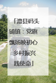 澧县码头铺镇：党旗飘扬映初心 乡村振兴践使命