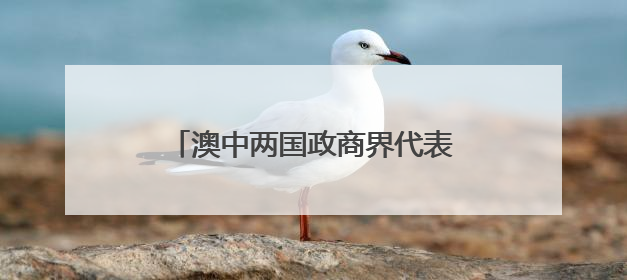 澳中两国政商界代表出席“以球会友·同贺端午”主题活动