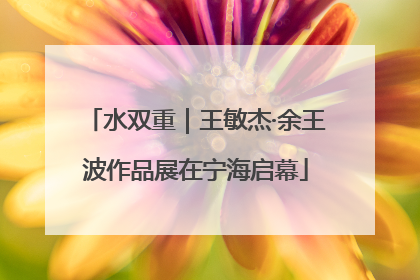 水双重｜王敏杰·余王波作品展在宁海启幕