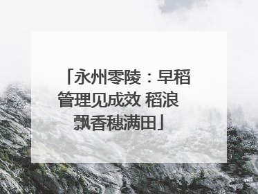 永州零陵：早稻管理见成效 稻浪飘香穗满田
