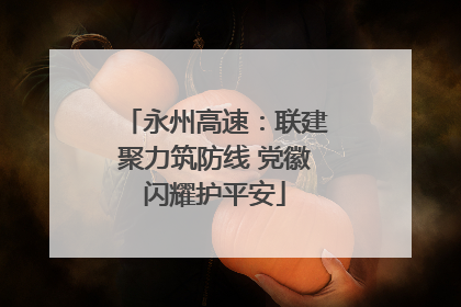 永州高速：联建聚力筑防线 党徽闪耀护平安