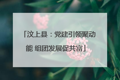 汶上县：党建引领聚动能 组团发展促共富
