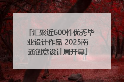 汇聚近600件优秀毕业设计作品 2025南通创意设计周开幕