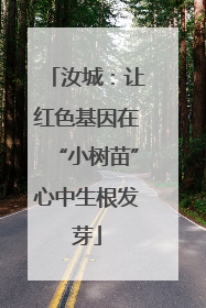 汝城：让红色基因在“小树苗”心中生根发芽