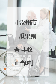 汝州市：瓜果飘香 丰收正当时