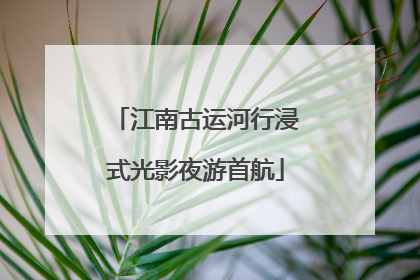 江南古运河行浸式光影夜游首航