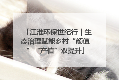 江淮环保世纪行｜生态治理赋能乡村“颜值”“产值”双提升