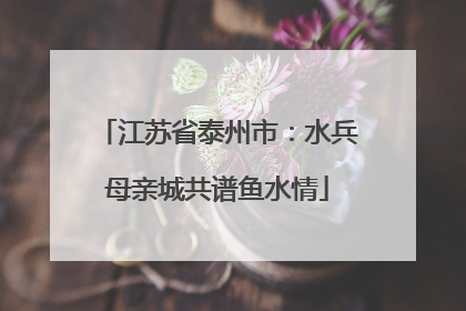 江苏省泰州市：水兵母亲城共谱鱼水情