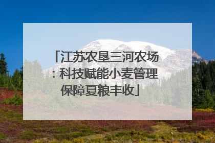 江苏农垦三河农场：科技赋能小麦管理保障夏粮丰收