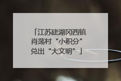 江苏建湖冈西镇肖荡村“小积分”兑出“大文明”