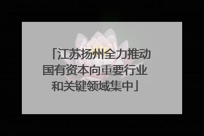 江苏扬州全力推动国有资本向重要行业和关键领域集中