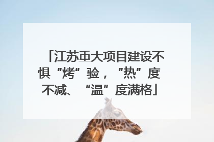 江苏重大项目建设不惧“烤”验，“热”度不减、“温”度满格