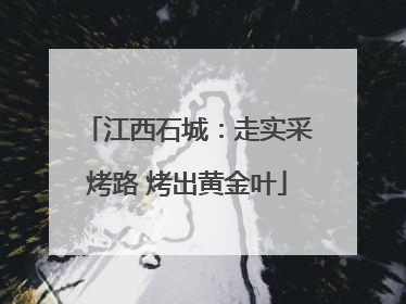 江西石城：走实采烤路 烤出黄金叶