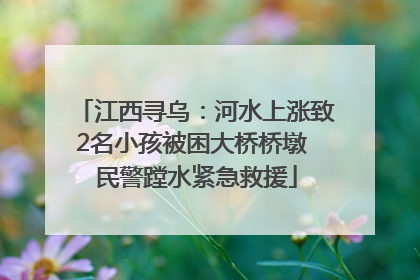 江西寻乌：河水上涨致2名小孩被困大桥桥墩 民警蹚水紧急救援