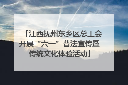 江西抚州东乡区总工会开展“六一”普法宣传暨传统文化体验活动