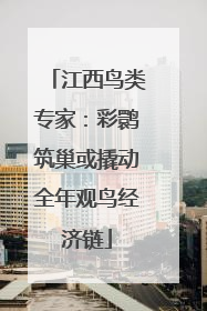 江西鸟类专家：彩鹮筑巢或撬动全年观鸟经济链
