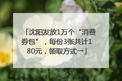 沈阳发放1万个“消费券包”，每份3张共计180元，领取方式→
