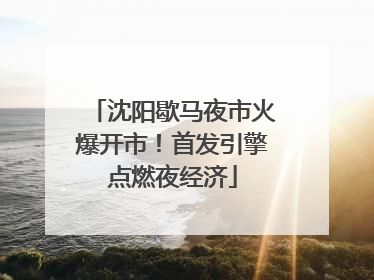 沈阳歇马夜市火爆开市！首发引擎点燃夜经济