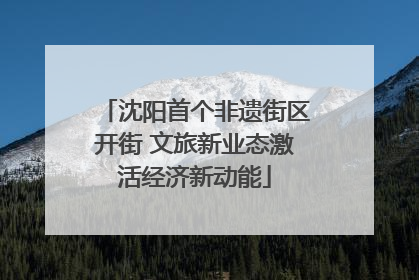 沈阳首个非遗街区开街 文旅新业态激活经济新动能