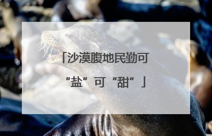 沙漠腹地民勤可“盐”可“甜”