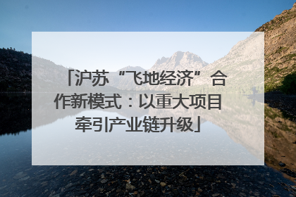 沪苏“飞地经济”合作新模式：以重大项目牵引产业链升级