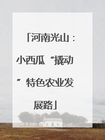 河南光山：小西瓜“撬动”特色农业发展路