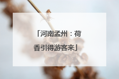 河南孟州：荷香引得游客来