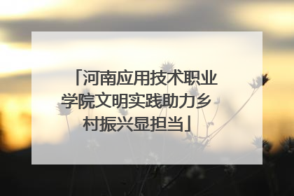 河南应用技术职业学院文明实践助力乡村振兴显担当