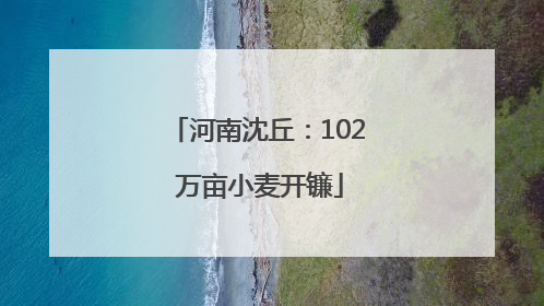 河南沈丘：102 万亩小麦开镰