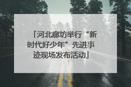 河北廊坊举行“新时代好少年”先进事迹现场发布活动