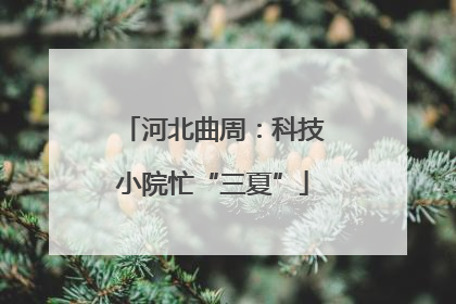 河北曲周：科技小院忙“三夏”