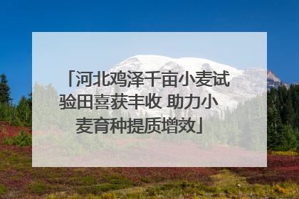 河北鸡泽千亩小麦试验田喜获丰收 助力小麦育种提质增效