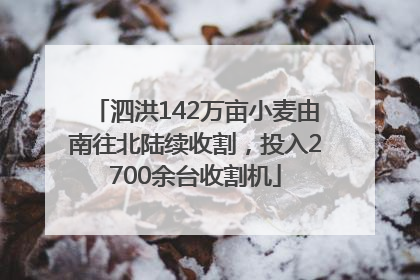 泗洪142万亩小麦由南往北陆续收割，投入2700余台收割机