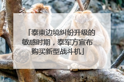 泰柬边境纠纷升级的敏感时期，泰军方宣布购买新型战斗机