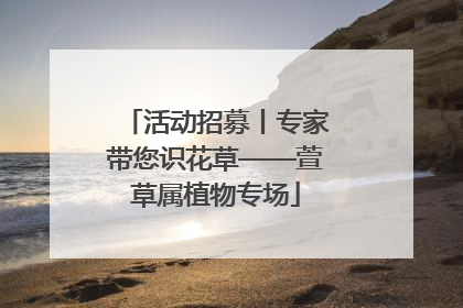 活动招募丨专家带您识花草——萱草属植物专场