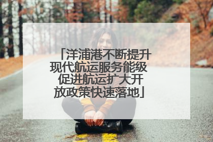 洋浦港不断提升现代航运服务能级 促进航运扩大开放政策快速落地