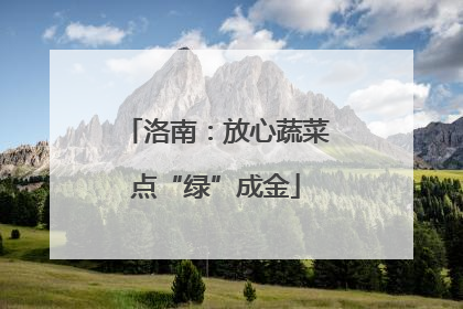 洛南：放心蔬菜点“绿”成金