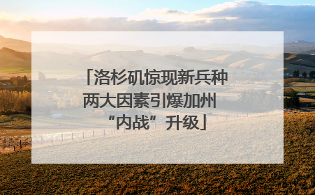 洛杉矶惊现新兵种 两大因素引爆加州“内战”升级