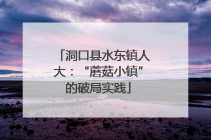 洞口县水东镇人大：“蘑菇小镇”的破局实践
