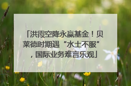 洪霞空降永赢基金！贝莱德时期遇“水土不服”，国际业务难言乐观