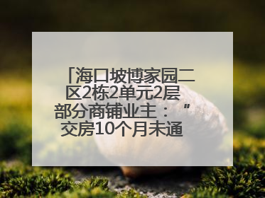 海口坡博家园二区2栋2单元2层部分商铺业主：“交房10个月未通自来水”