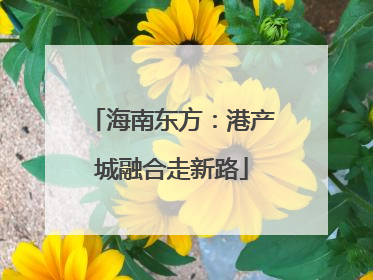 海南东方：港产城融合走新路