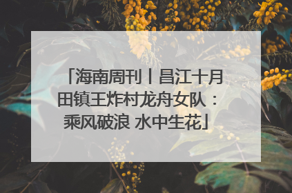 海南周刊丨昌江十月田镇王炸村龙舟女队：乘风破浪 水中生花