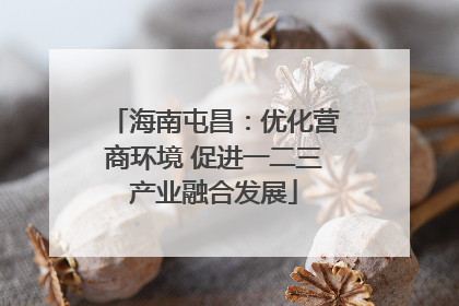 海南屯昌：优化营商环境 促进一二三产业融合发展